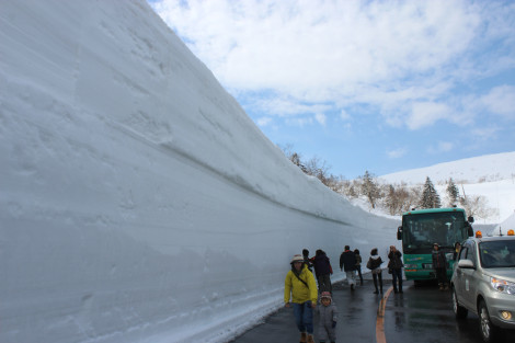 雪壁バス